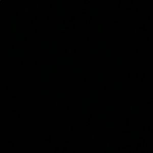 Meet your Posher, Gary